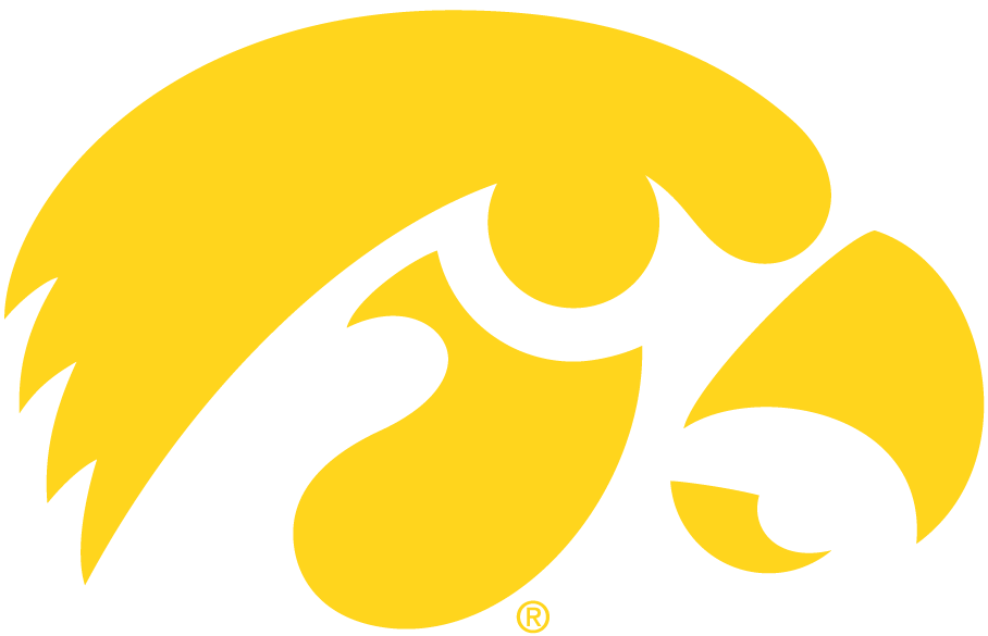 Iowa Hawkeyes 1979-Pres Alternate Logo v2 fabric transfers